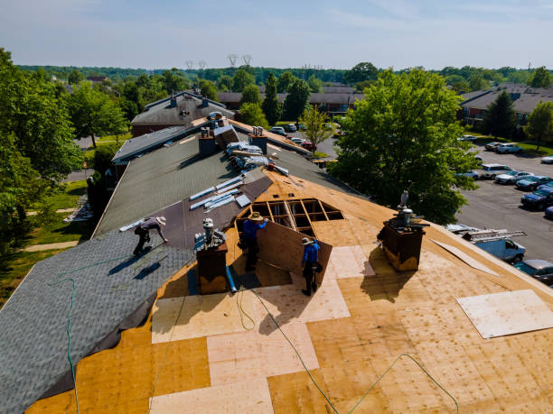 Quick and Trustworthy Emergency Roof Repair Services in Saline, MI