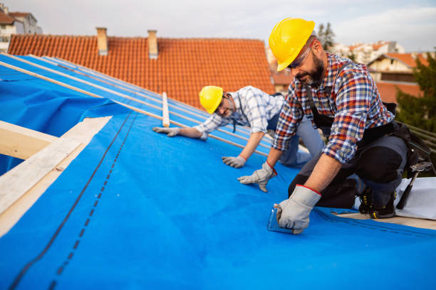 Best Roof Gutter Cleaning  in Saline, MI