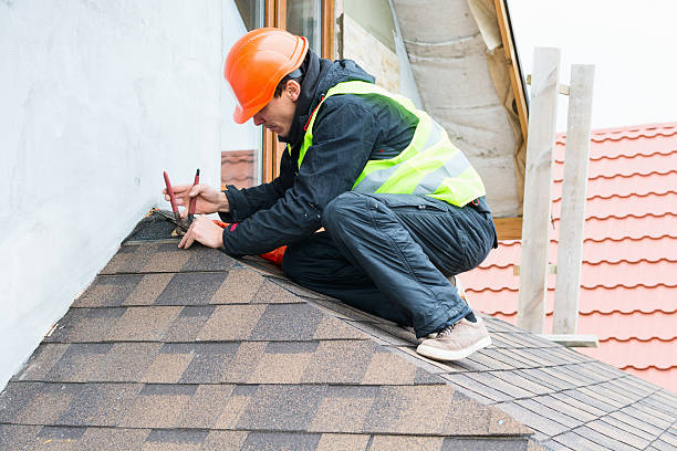 Best Roof Maintenance Services  in Saline, MI